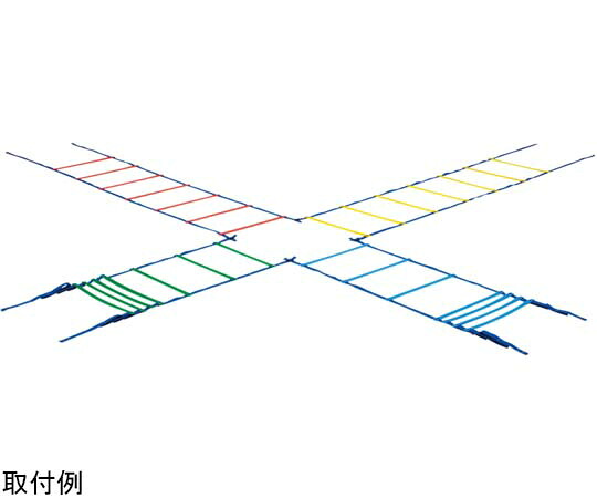トーエイともし火 カラースピードラダー 1組 G1236