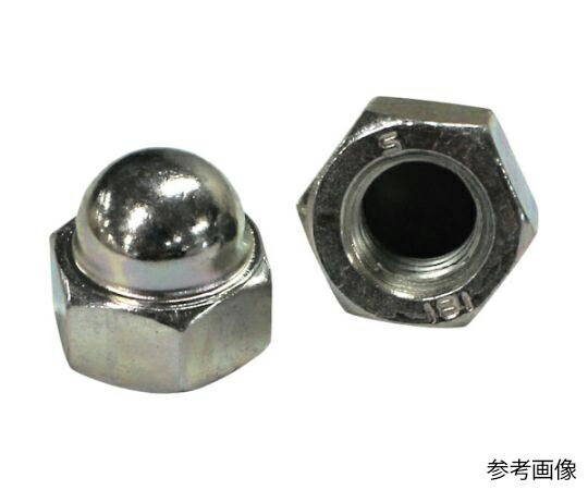コノエ 袋中毒者 鉄 三価クロメート M6 （1300個入） 1300個入 FNT-SS-3W-6-1300P
