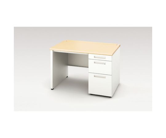 ナイキ（NAIKI） 片袖デスク（パネル脚） 1台 XEHH117BP-WS【大型商品の為代引不可】
