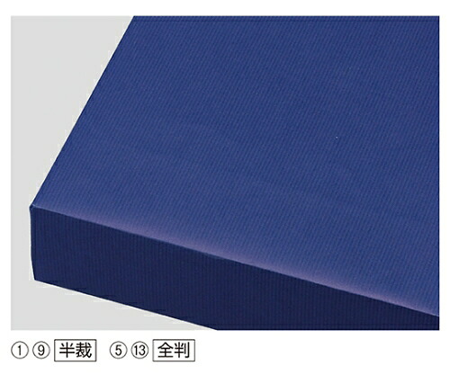 ストア・エキスプレス 荷拵え紙 筋入手工芸品 全判 米国海軍 入数500枚 1仕掛ける(500枚入) 61-279-7-13
