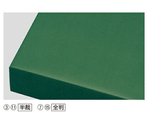 ストア・エキスプレス 荷拵え紙 筋入手工芸品 全判 緑であること 入数500枚 1仕掛ける(500枚入) 61-279-7-15