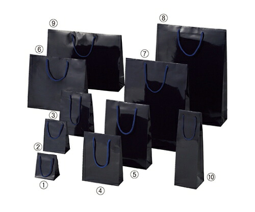 ストア・エキスプレス ブライトバッグ 紫紺 12×7×16.5 入数50枚 1セット(50枚入) 61-314-4-16 8,167円