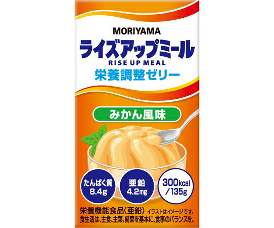 守山乳業 ライズアップミール 栄養調整ゼリー みかん風味 135g 24本入 1ケース(24本入) 【軽減税率】