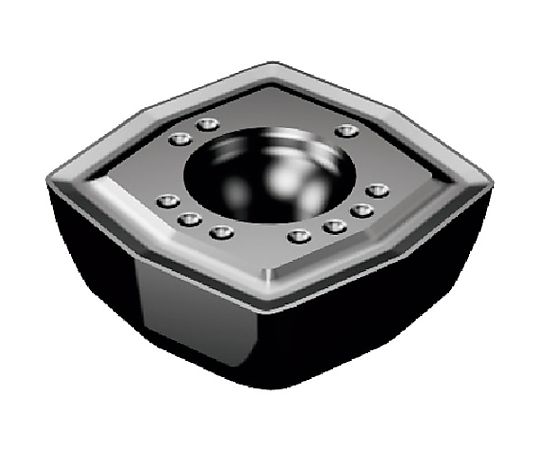 サンドビック スローアウェイドリル用チップ コロドリルDS20チップ（365）穴あけ用 材種1344 1344 1セット（10個入） 1セット(10個入) DS200205CM7