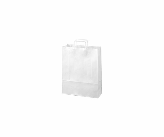 かっこ良いありがた味 合切袋袋 平紐 白 大 300枚 1箱(50枚×6容器に並べる入) B293J-W6