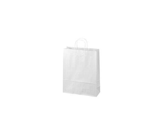 かっこ良いありがた味 合切袋袋 丸紐 白 大 300枚 1箱(50枚×6容器に並べる入) B289J-W6