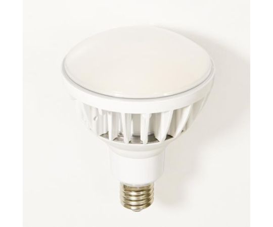 日動工業 AC100V/ 50W 電球(白) 1台 EA814DL-55
