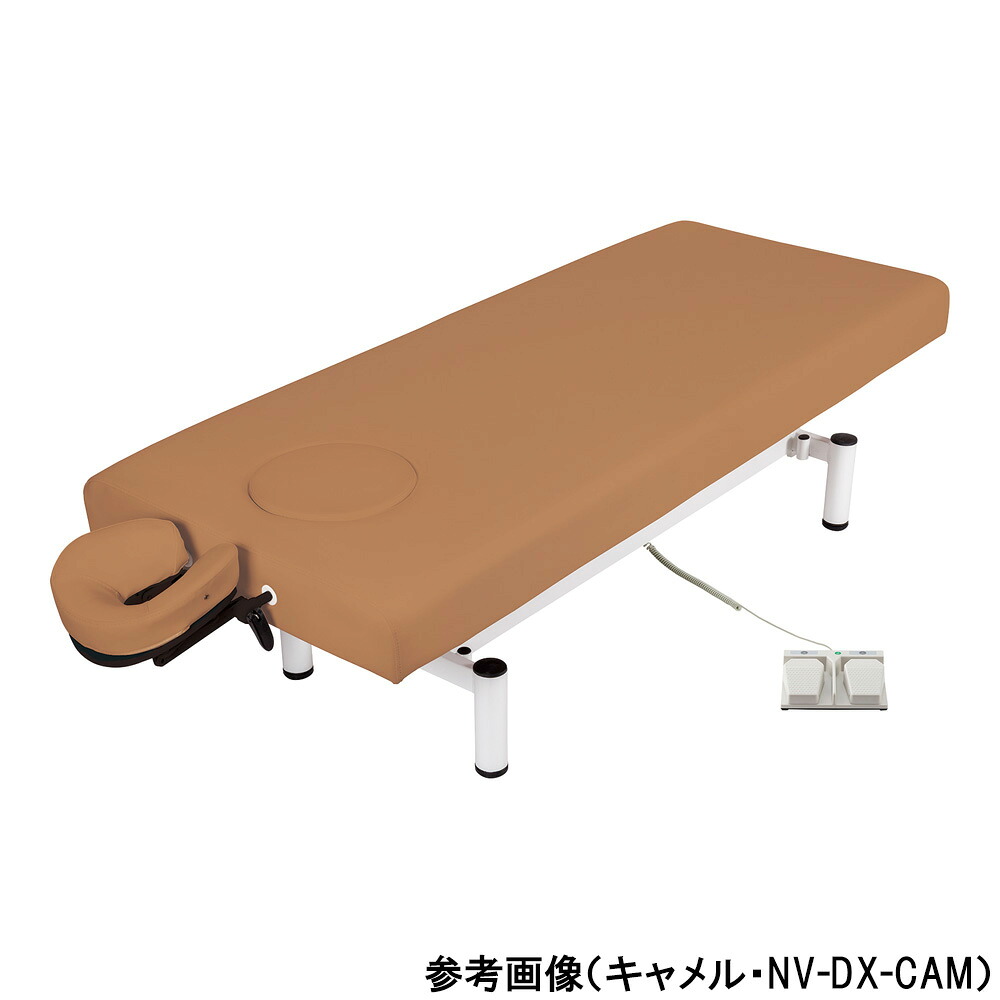 フィフティ・ヴィジョナリー 電動昇降臥榻 駱駝 1個 NV-DX-CAM(W70)
