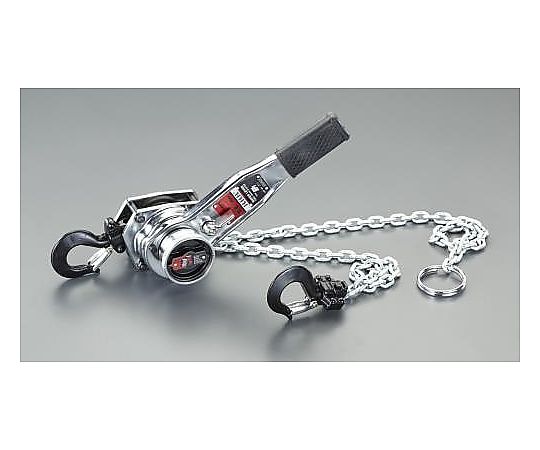 スリー猥りがましい 1.0tonx1.5m 生き肝ホイスト 1台 EA988AG-1