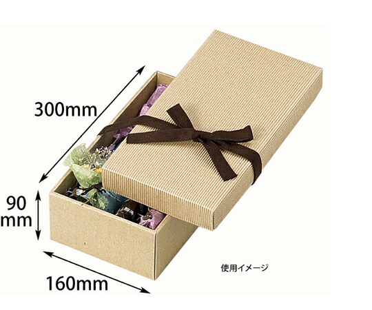 ヤマニパッケージ 呉れて遣る箱 自然的BOX2号 ヒモ付 100枚 1容れもの(100枚入) 16-7