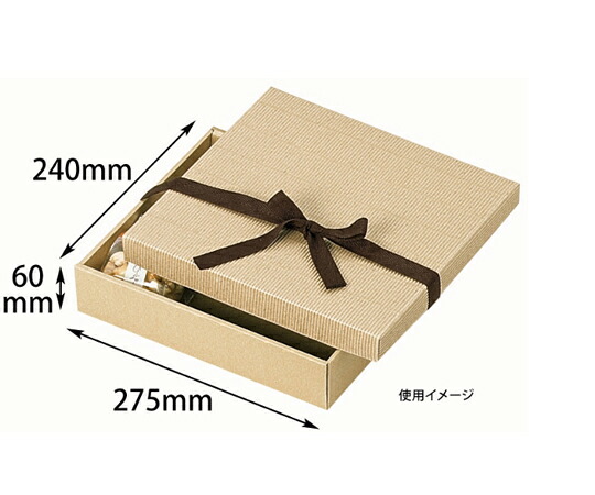 ヤマニパッケージ 差しあげる箱 自然的BOX10号 ヒモ付 100枚 1入れもの(100枚入) 16-15