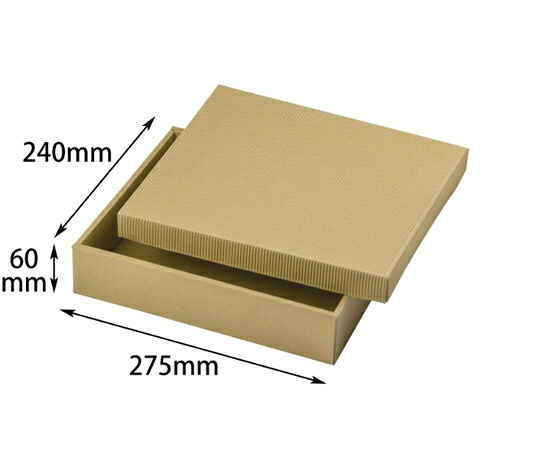 ヤマニパッケージ 差しあげる箱 自然的BOX10号 ヒモ無 100枚 1入れもの(100枚入) 16-15N