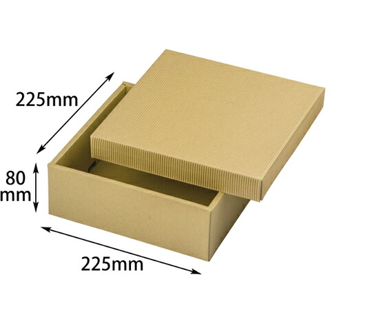 ヤマニパッケージ 譲りわたす箱 自然的BOX32号 225角 ヒモ無 100枚 1容れもの(100枚入) 16-32N 衛生日用品・衛生医療品-医薬品・コンタクト・介護-その他