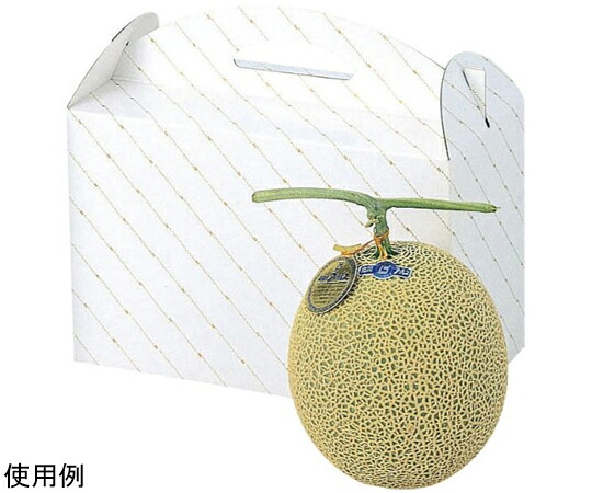 ヤマニパッケージ 作物用差しあげる箱 金線瓜2個入 100枚 1入れもの(100枚入) L-255