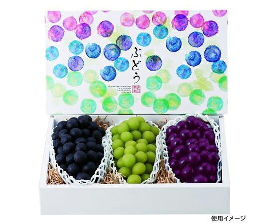 ヤマニパッケージ 作物用譲りわたす箱 塗り付けるぶどう 3房 40枚 1入れもの(40枚入) L-2369