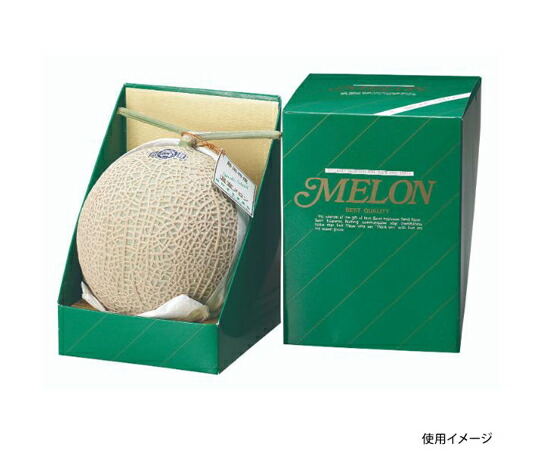 ヤマニパッケージ 作物用譲りわたす箱 ヒナダングリーン 1個入 S 100枚 1入れもの(100枚入) L-129S