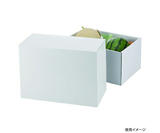 ヤマニパッケージ 青果用贈答箱 ホワイトロイヤル 170 30枚 1ケース(30枚入) L-2383