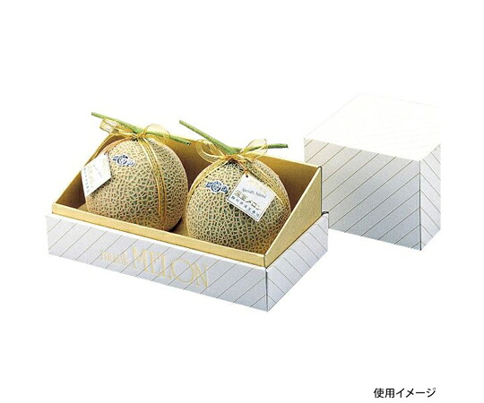 ヤマニパッケージ 作物用呉れて遣る箱 金裏張り瓜2個入 30枚 1容れもの(30枚入) L-74