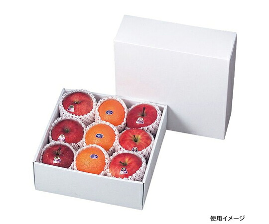 ヤマニパッケージ 作物用差しあげる箱 白いこと 290角 50枚 1入れもの(50枚入) LT-G8