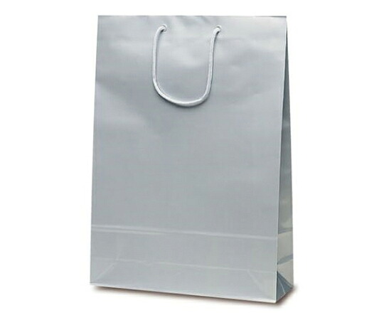ベルベ 紙袋 エクセルバッグ しろがね色 50枚 1容れもの(50枚入) 1102