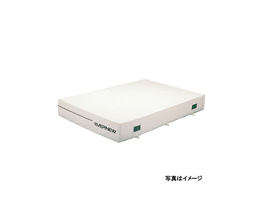 【大型品別途送料】 エバニュー 抗菌屋内エバーマット すべり止付 150×200×20cm EGD241