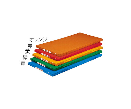 【大型品別途貨物輸送】 エバニュー 軽さ色合い引っ敷き 120×240×5珊 オレンジ色 EKM079-200 その他-治療機器-医薬品・コンタクト・介護