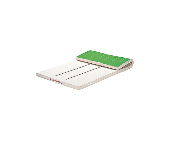 【大型品別途送料】 エバニュー 6cm厚指導ライン入りマット すべり止付 120×300×6cm EKM403