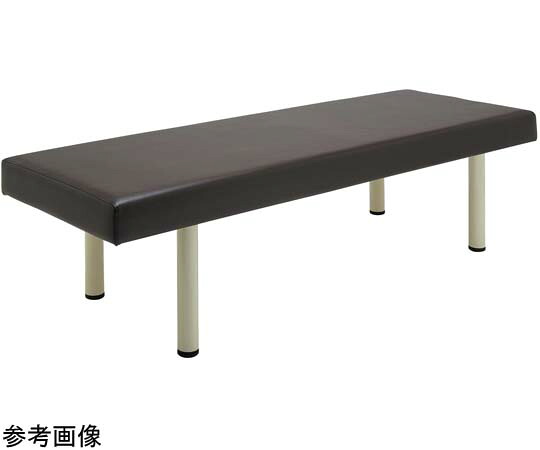 【大型品の為別途貨物輸送有】 フィフティ・ヴィジョナリー 診察台臥榻 75-40 赤銅色 FV-215-BR-W75-H40 医薬品・コンタクト・介護-その他