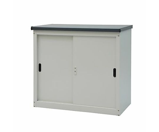 アズワン 927x500x 830mm 収納庫 EA955CD-21