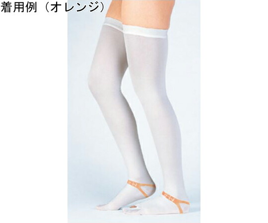 東レ・医学的 ファインサポート 股下（ストッキング） 青み 1入れもの(20本×4箱入) FS-S-MT