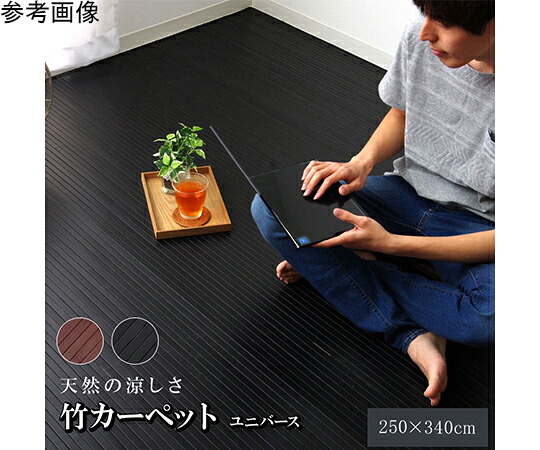 アズワン 竹引っ敷き 無地 糸なし手合い 『全ての存在』 暗然たる赤銅色 250×340珊 1100220074901