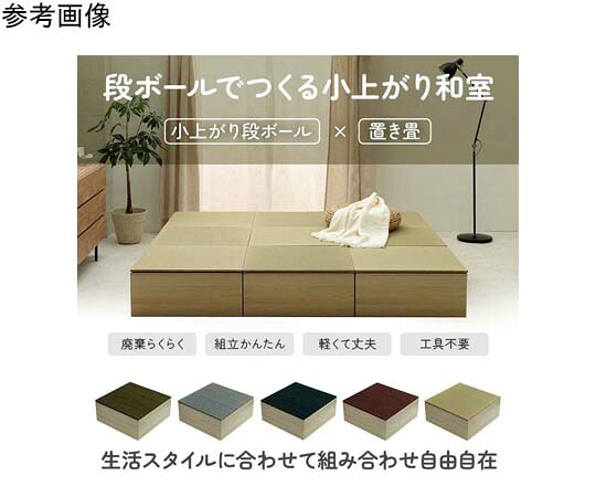 アズワン 段ボール製小売り上げ金・置き畳仕掛ける 緑であること 2仕掛ける 1040150120430