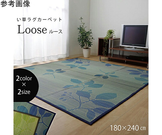 アズワンカタログ製品 い草ラグ おしゃれ シンプル カーペット 『ルース』 グリーン 約180×240cm 入数:1個 1071490123909