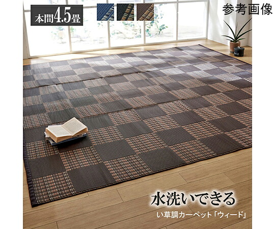 アズワンカタログ生産品 引っ敷き 洗える PP引っ敷き 『草』 赤銅色 本間4.5畳（約286.5×286.5珊） 入数:1個 1090280061802 その他-医薬品・コンタクト・介護