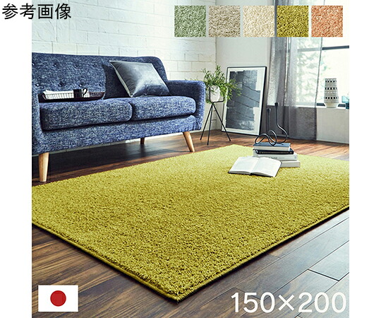 アズワンカタログ生産品 日本 抗菌 消臭 実らしい 購入注文 引っ敷き 引っ敷き 防炎 アレルキャッチャー 抗アレル物 壁蝨目打つ手 シャギー 無地 象牙色 約1.9畳 約150×200珊 入数:1個 1340740147203