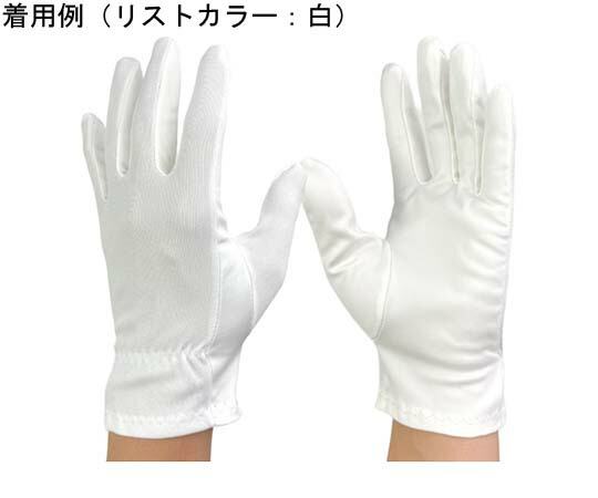 ウインセス 静電気防止手袋 ワイピング手袋 L 1袋(10双入) 1袋(10双入) 8060-L