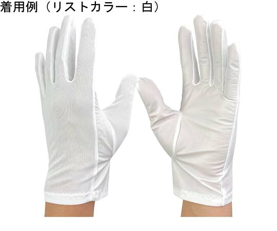 ウインセス 防塵手袋 L 1袋(10双入) 1袋(10双入) 407-H-L