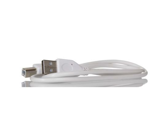 RS PRO USBケーブル USB A → USB B 1箱（10個入） 1箱(10個入) 266-8453