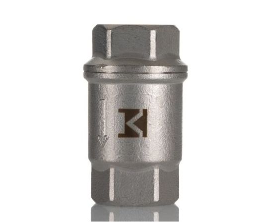RS　Pro チェックバルブ RS PRO ステンレス鋼 1個 257-0036