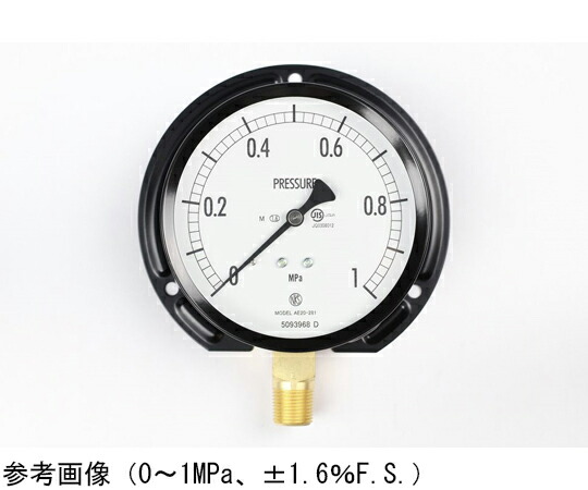 長野計器 普通形圧力計（Φ100） 立形B枠 蒸気用 2MPa 検査証明書付 1個 AE20-281