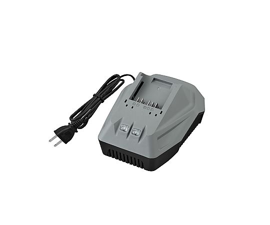 アイリスオーヤマ 充電器 1個 DBLC18H