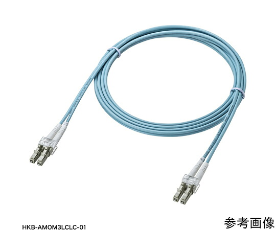 サンワサプライ アーマードメガネ型光衣料繊維有線テレビ（マルチOM3、LC×2-LC×2、5m） HKB-AMOM3LCLC-05 1仕掛ける