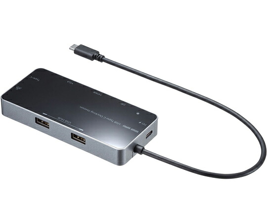 サンワサプライ USB Type-C 縛ステイション USB-DKM2BK 1仕掛ける