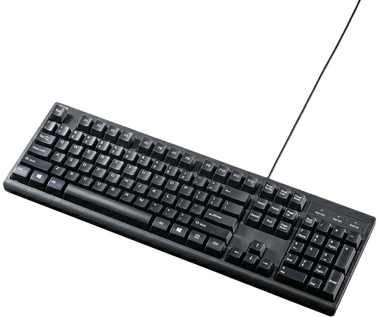 サンワサプライ 英語USBキーボード ブラック SKB-E5UBK 1セット