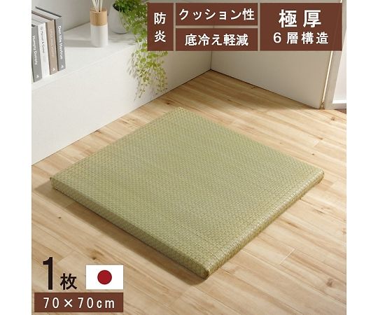イケヒコ・コーポレーション ネイラル 引っ敷き 置き畳 - 70×70×4.5糎 単品 1111500010456 1枚