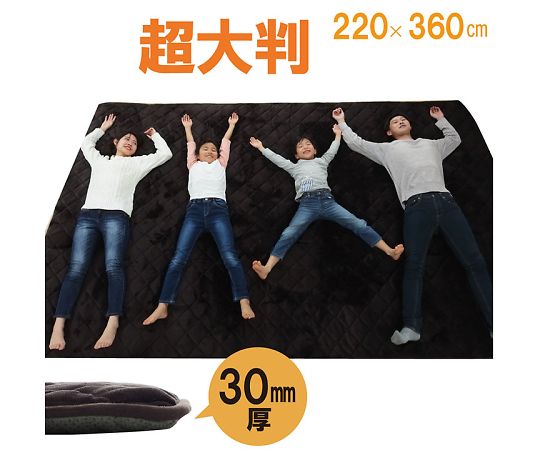 イケヒコ・コーポレーション 大判ドーク カーペット こたつ敷 ブラウン 220×360cm 1161710066413 1枚