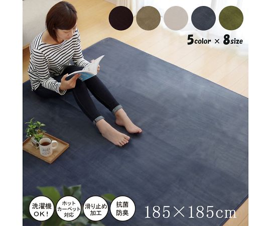 イケヒコ・コーポレーション ピオニー カーペット 無地ラグ ブラウン 185×185cm 1380000001376 1枚
