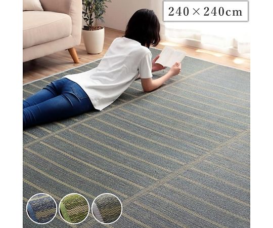 イケヒコ・コーポレーション シルフ カーペット い草ボリュームラグ グリーン 240×240cm 1070010125411 1枚