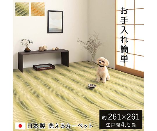 イケヒコ・コーポレーション 気象状況 引っ敷き ポリプロピレン引っ敷き ベージュ 261×261糎 日本の首都間4.5畳 1090580021102 1枚