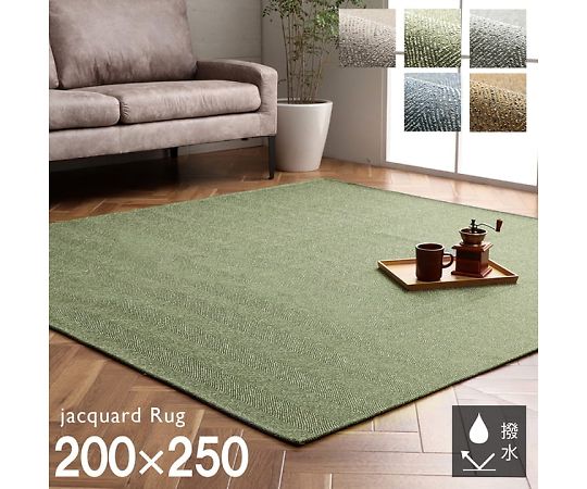 イケヒコ・コーポレーション カーム カーペット ジャガードラグ グリーン 200×250cm 1293290126502 1枚